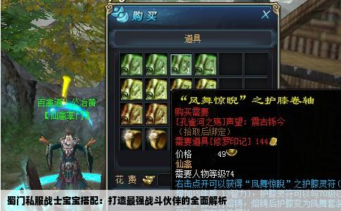 蜀门私服战士宝宝搭配：打造最强战斗伙伴的全面解析