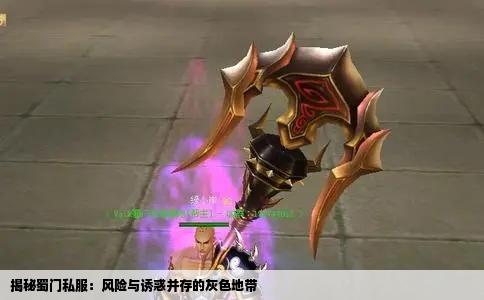 揭秘蜀门私服：风险与诱惑并存的灰色地带