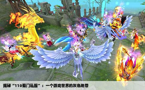 揭秘“110蜀门私服”：一个游戏世界的灰色地带